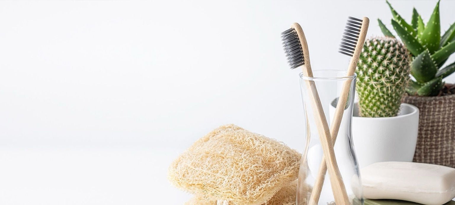 Brosse à dents en bambou avec savon, loofah, cactus et aloé