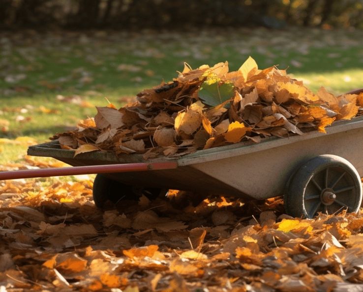 Brouette Handybag chargée de feuilles mortes dans un jardin en automne