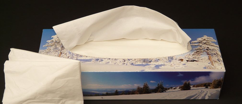 Une boîte de mouchoirs avec motif paysage hivernal