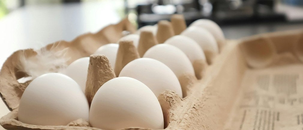 Œufs blancs rangés dans une boîte en carton sur un plan de cuisine