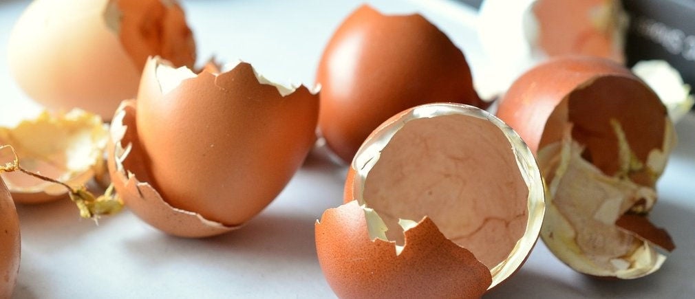 Restes de coquilles d’œufs destinées au compost naturel