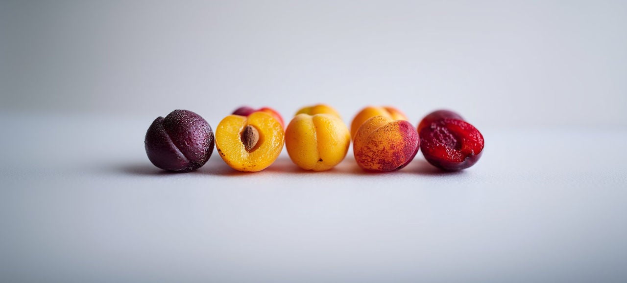 Des abricots entiers et des moitiés avec noyau sont alignés sur un fond blanc.    Generated with AI