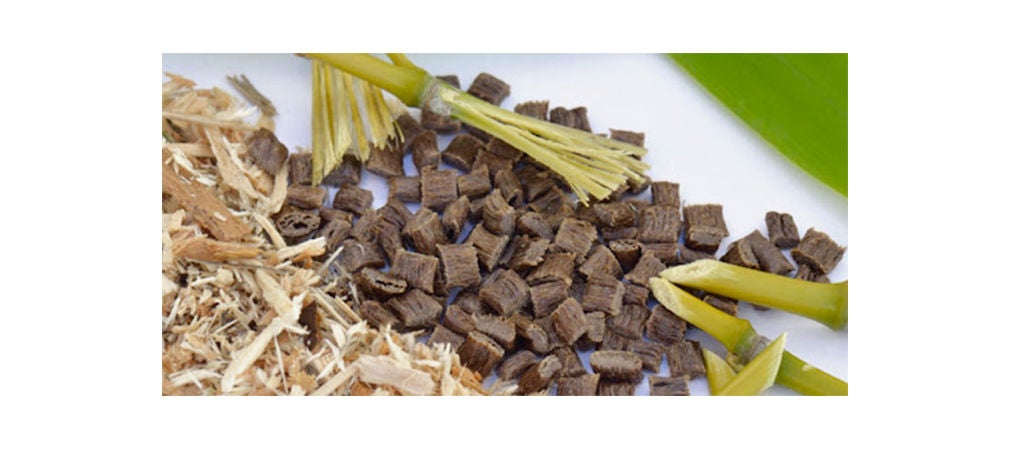 Granules de bois compostables sur fond blanc