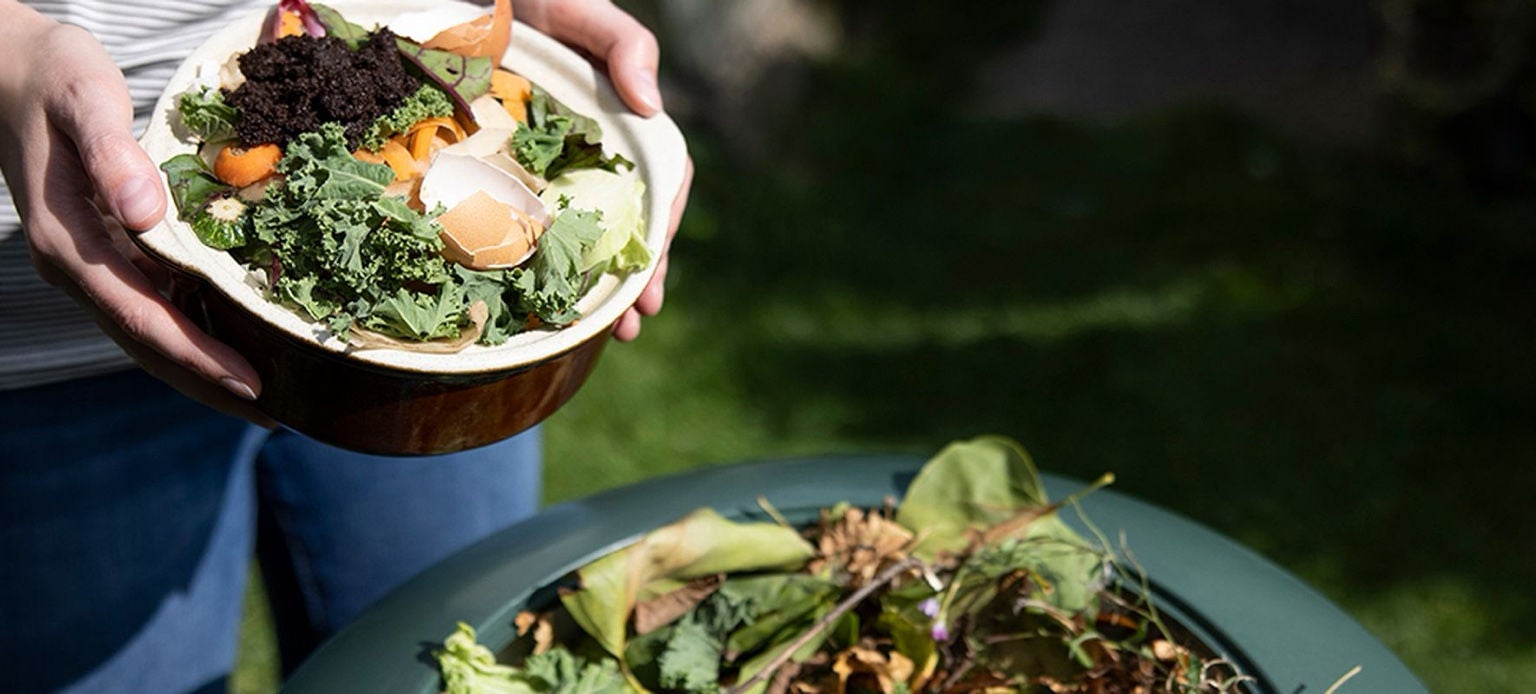 Bol d’épluchures de légumes et de verdure pour compost