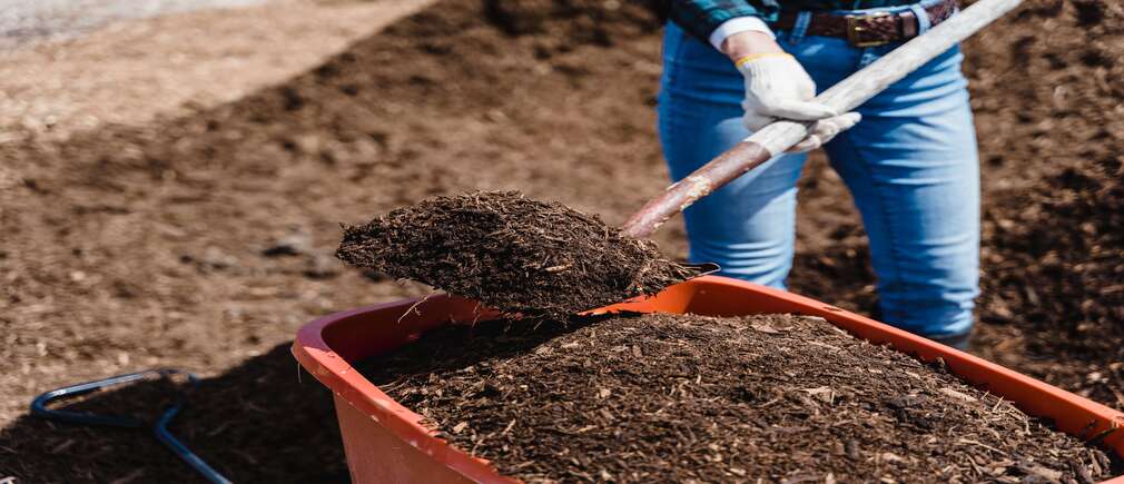 Personne travaillant le jardin en déplaçant du compost avec une brouette
