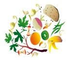 compost